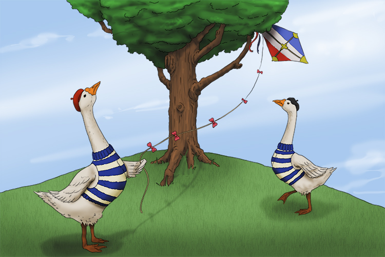 French geese aren't (French Guiana) good kite flyers. The kites end (Cayenne) up in the trees.